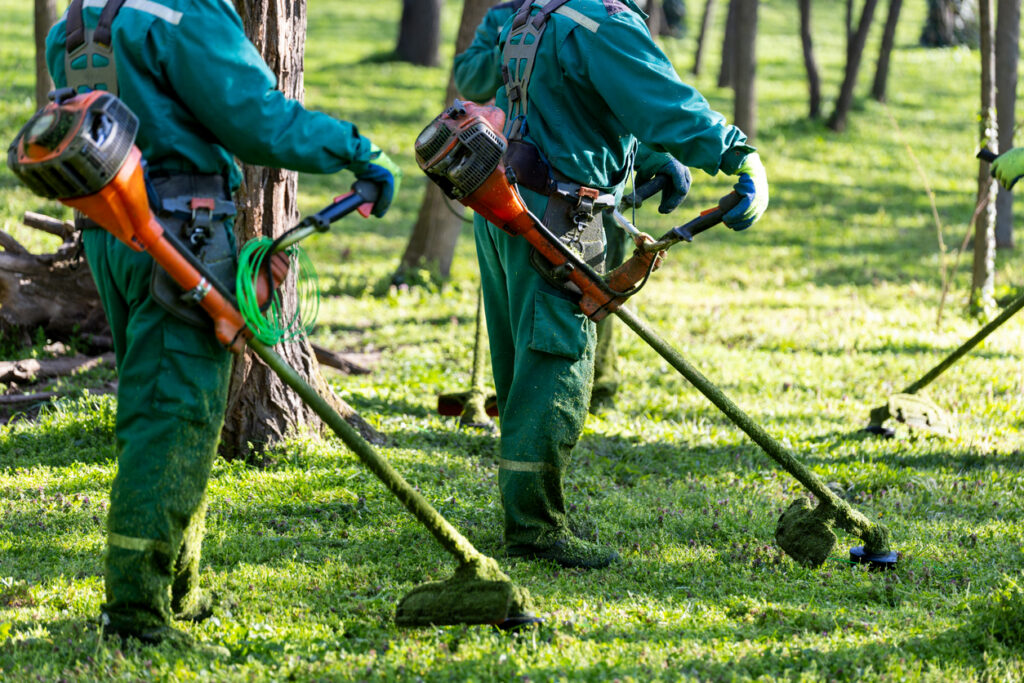 A groundskeeping crew wearing protective uniforms trims grass with motorized trimmers among trees in a public park.